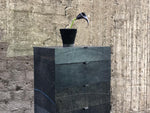 Black Cupboard